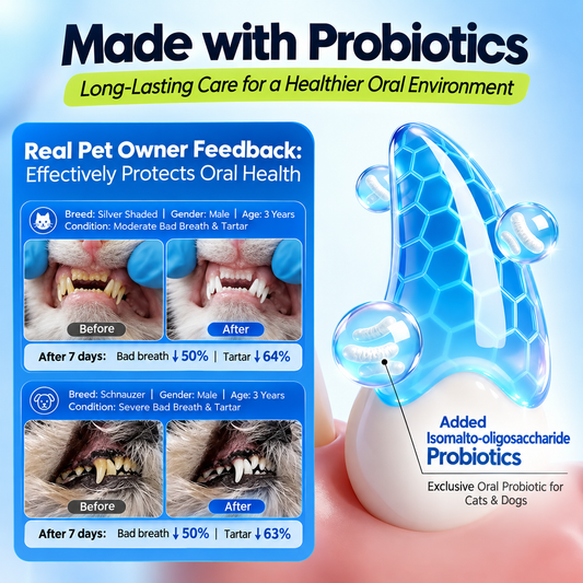 Paisile Pet Dental Cleaning Tablets