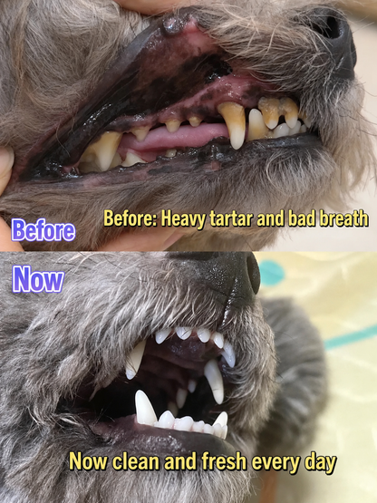 Paisile Pet Dental Cleaning Tablets